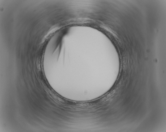 X0000077291451200611171615