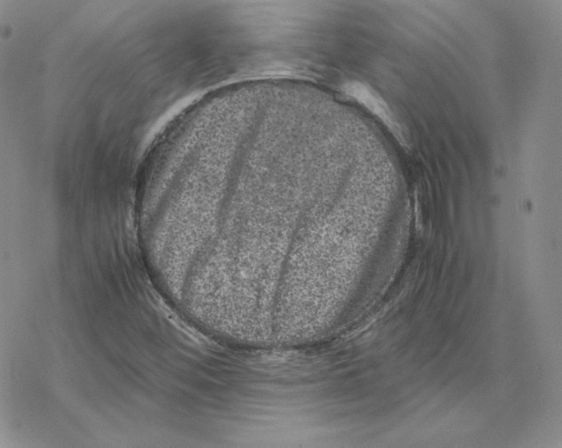 X0000077291452200611171615