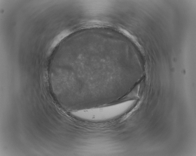 X0000077291453200611171615