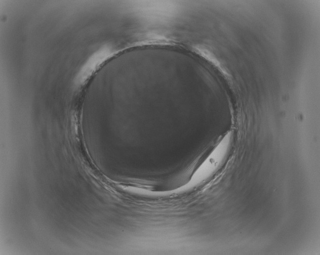 X0000077291455200611171615