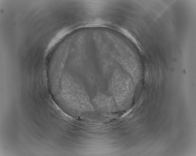 X0000077291456200611171615