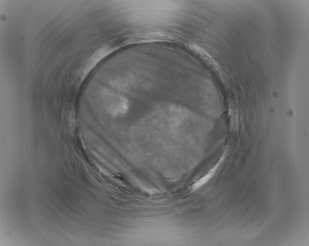 X0000077291457200611171615