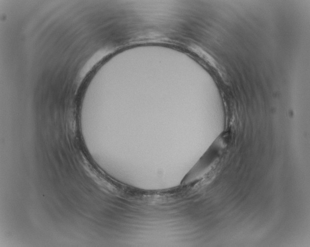 X0000077291458200611171615