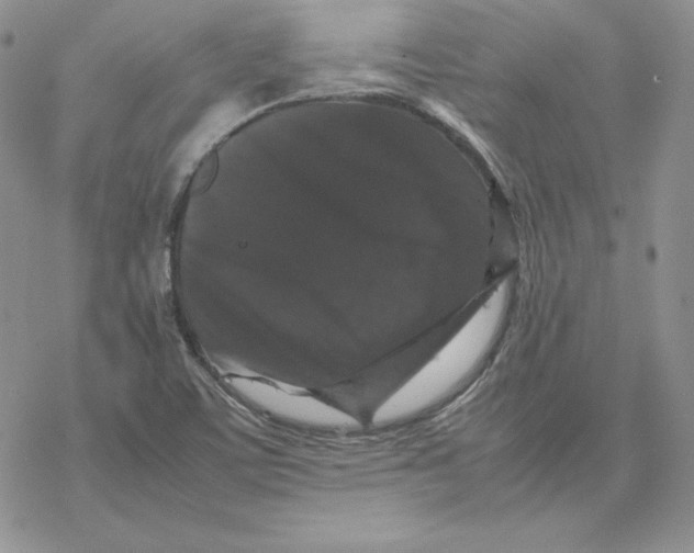 X0000077291459200611171615