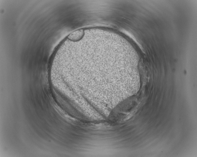 X0000077291460200611171615