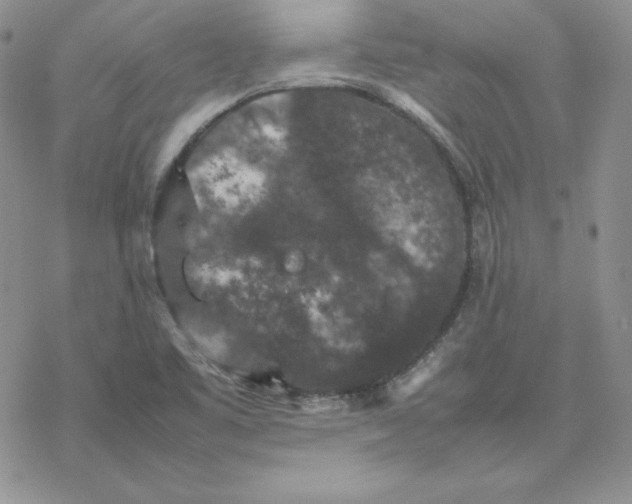 X0000077291461200611171615