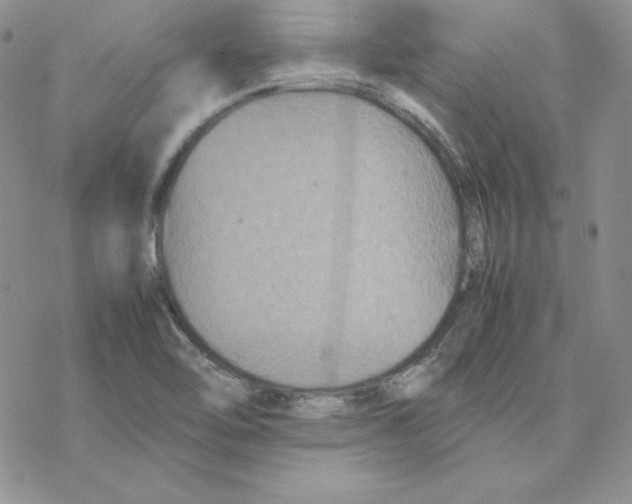 X0000077291462200611171615