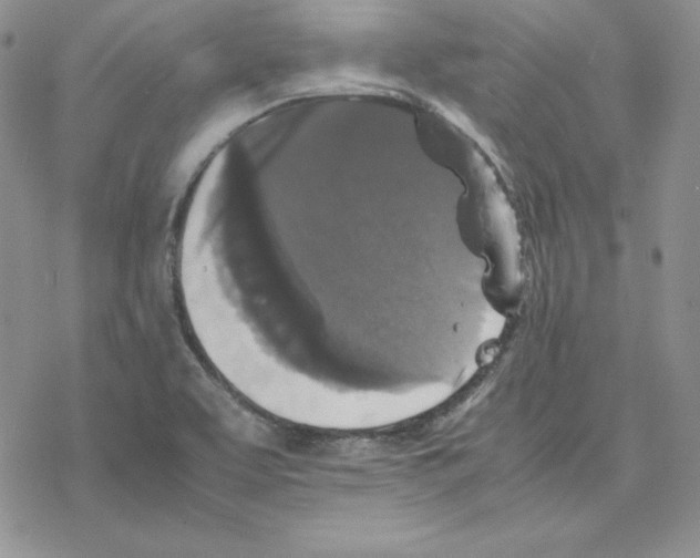 X0000077291463200611171615