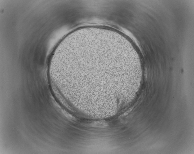 X0000077291464200611171615