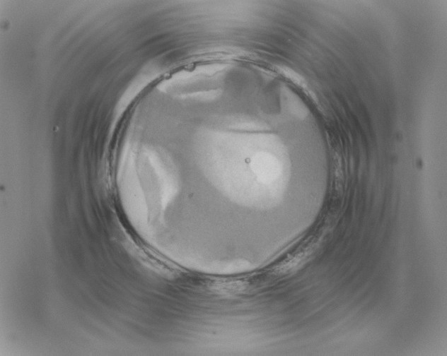 X0000077291466200611171615