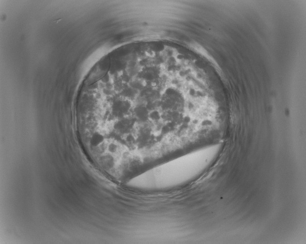 X0000077291467200611171615