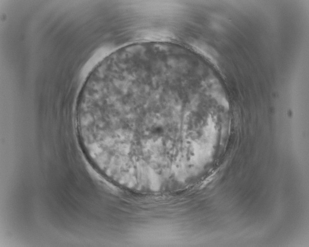 X0000077291471200611171615