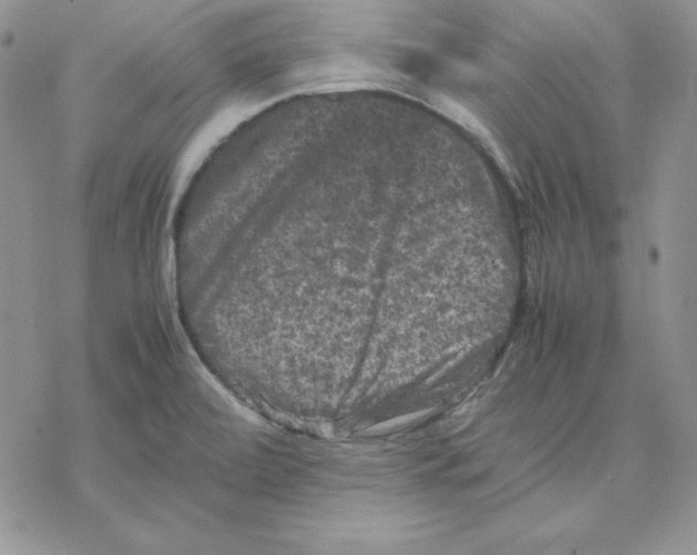 X0000077291472200611171615