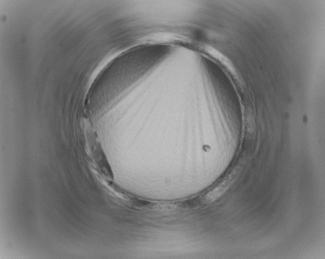 X0000077291473200611171615