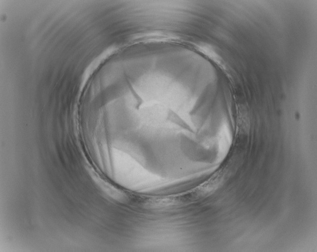 X0000077291474200611171615