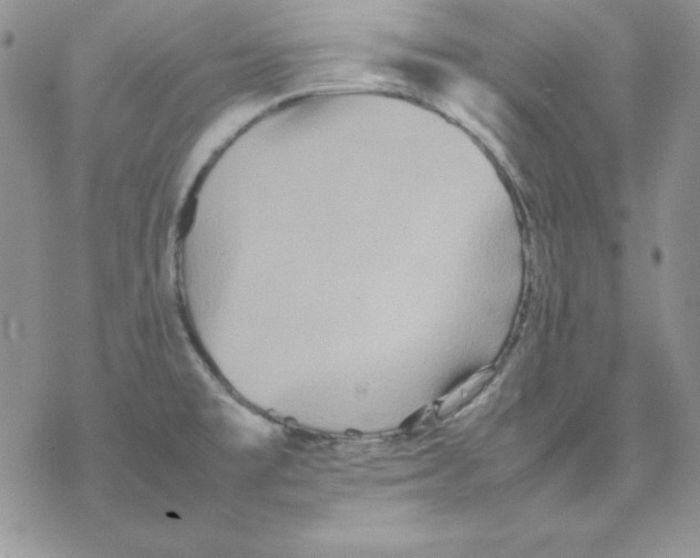 X0000077291477200611171615