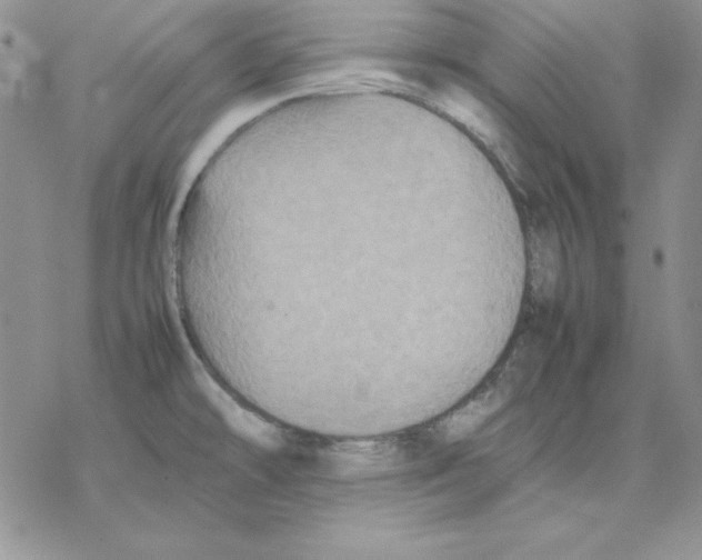 X0000077291478200611171615