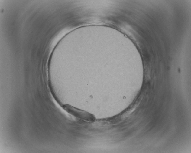 X0000077291479200611171615