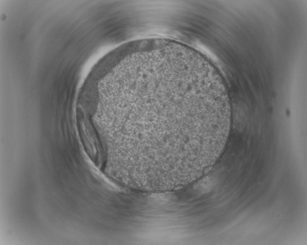 X0000077291480200611171615