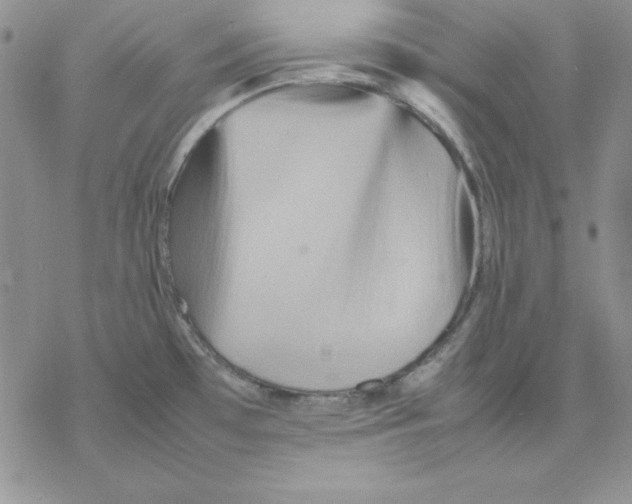 X0000077291481200611171615