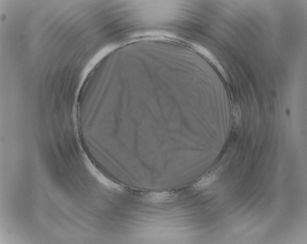 X0000077291482200611171615