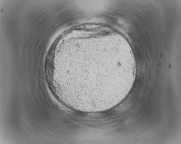 X0000077291483200611171615