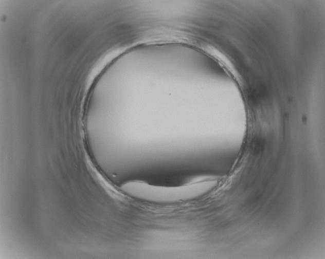 X0000077291485200611171615