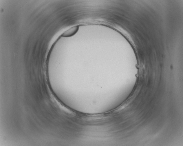 X0000077291486200611171615