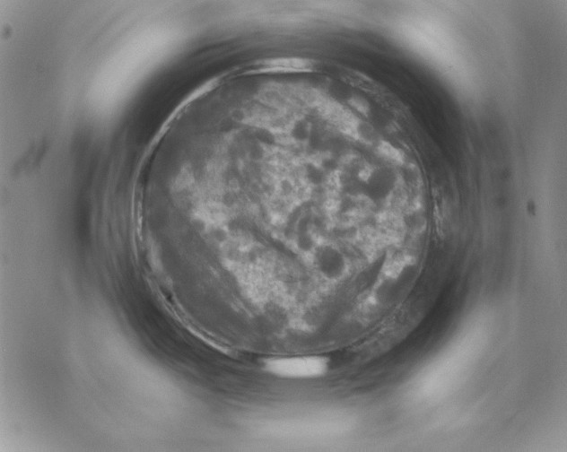 X0000077291487200611171615