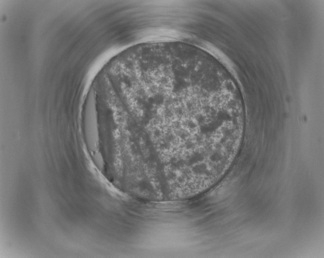 X0000077291488200611171615