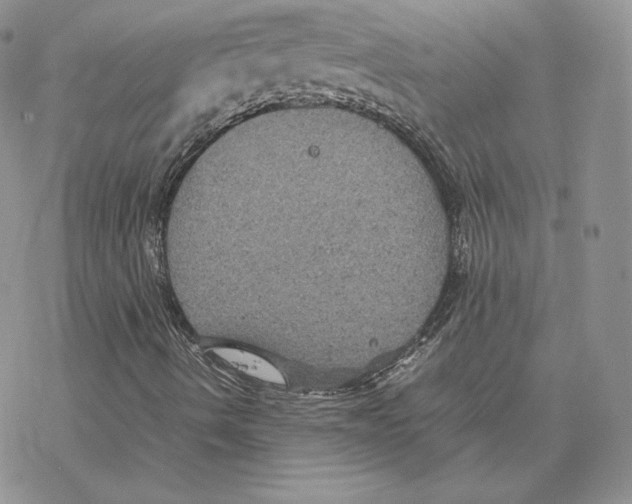 X0000077291490200611171614