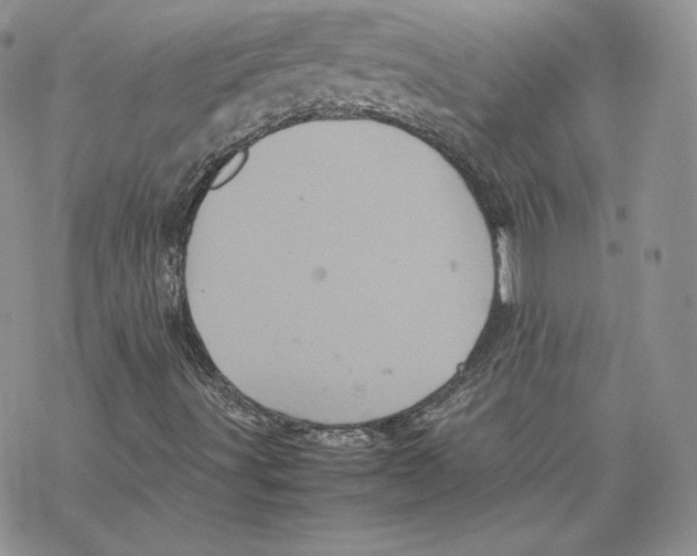 X0000077291491200611171614