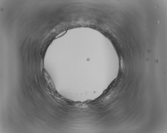 X0000077291492200611171614