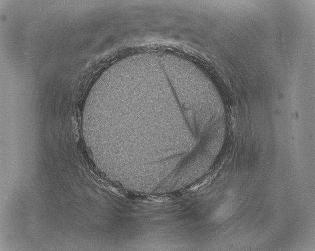 X0000077291493200611171614