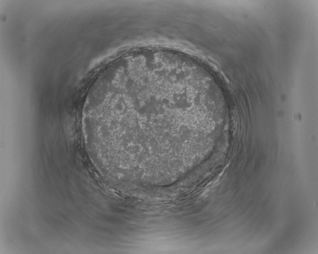 X0000077291494200611171614