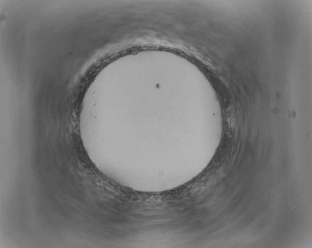 X0000077291495200611171614