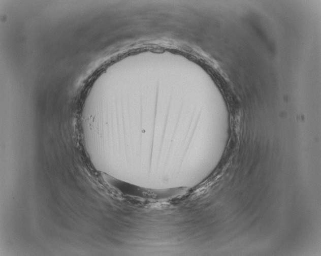 X0000077291496200611171614