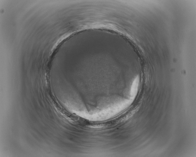 X0000077291497200611171614