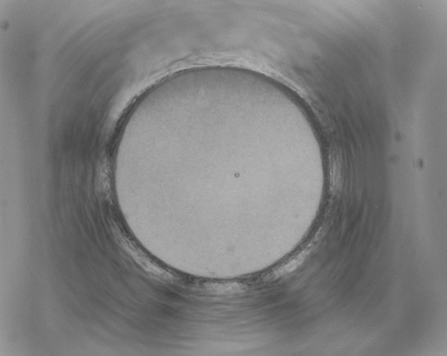 X0000077291498200611171614