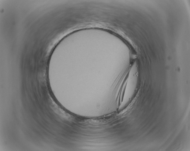 X0000077291500200611171614