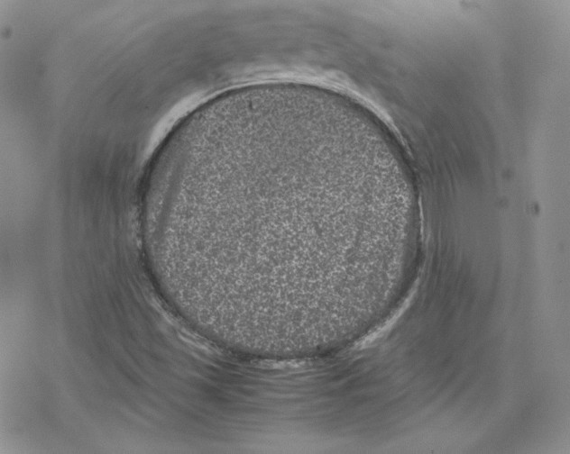 X0000077291501200611171614