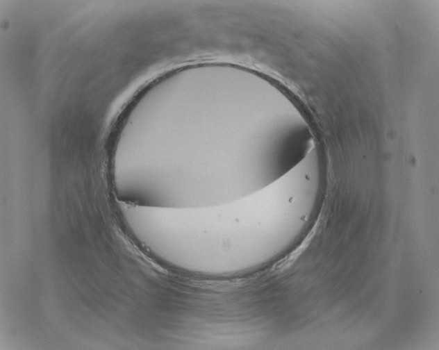 X0000077291502200611171614