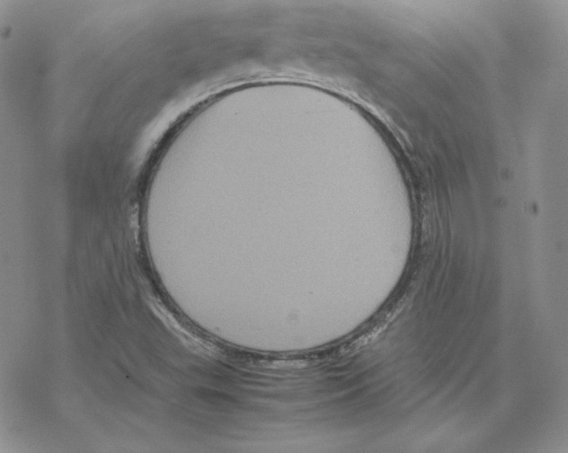 X0000077291503200611171614