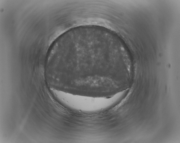 X0000077291505200611171614