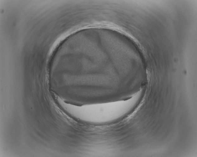 X0000077291506200611171614