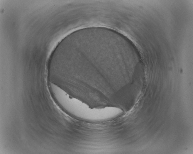 X0000077291508200611171614