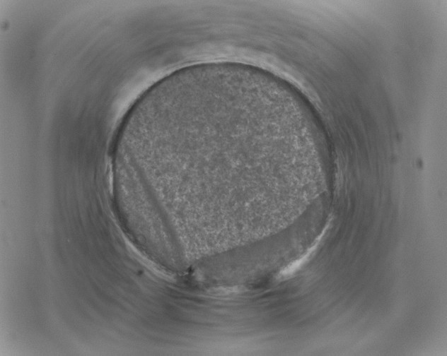 X0000077291509200611171614