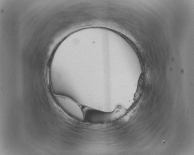 X0000077291510200611171614