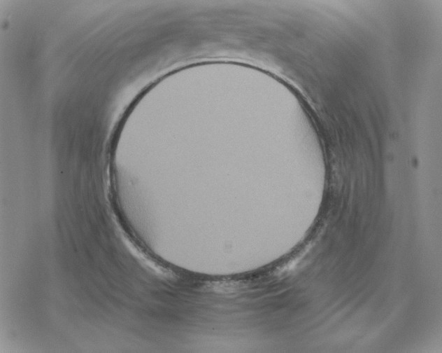 X0000077291511200611171614