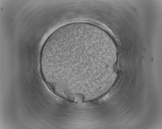 X0000077291512200611171614